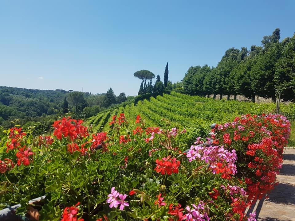 Residence Il Vigneto Lari Exteriér fotografie