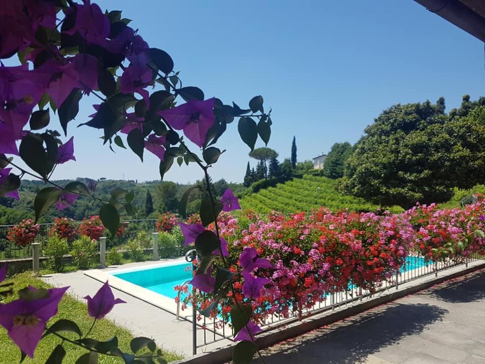 Residence Il Vigneto Lari Exteriér fotografie