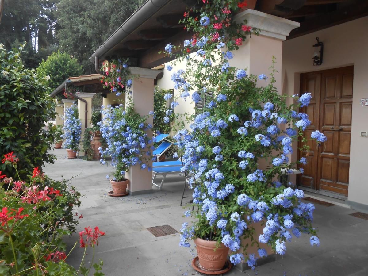 Residence Il Vigneto Lari Exteriér fotografie