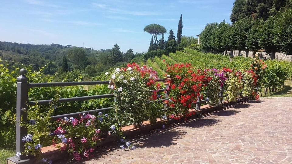 Residence Il Vigneto Lari Exteriér fotografie