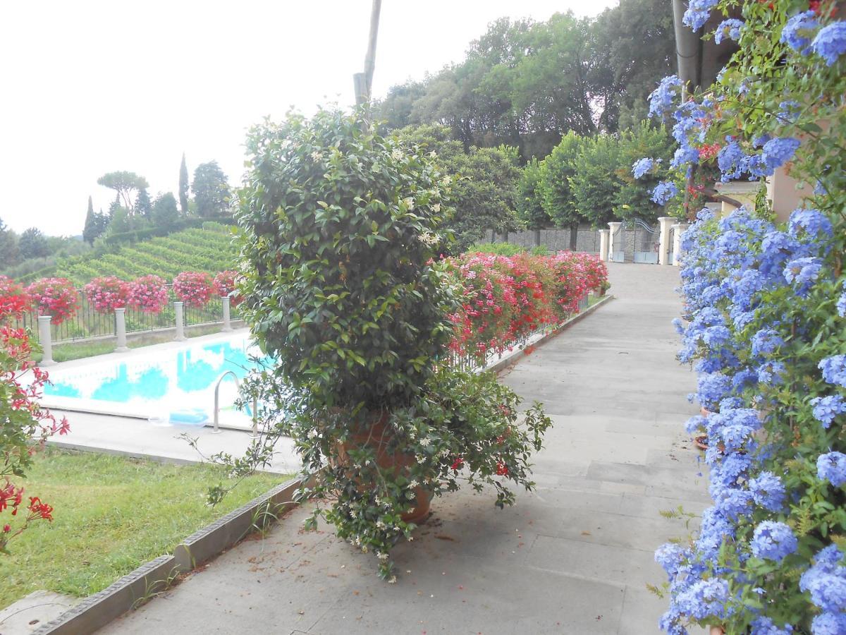 Residence Il Vigneto Lari Exteriér fotografie