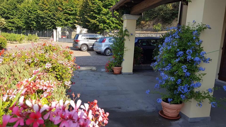 Residence Il Vigneto Lari Exteriér fotografie