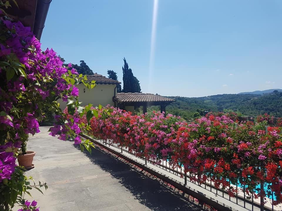 Residence Il Vigneto Lari Exteriér fotografie