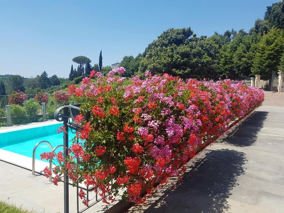 Residence Il Vigneto Lari Exteriér fotografie